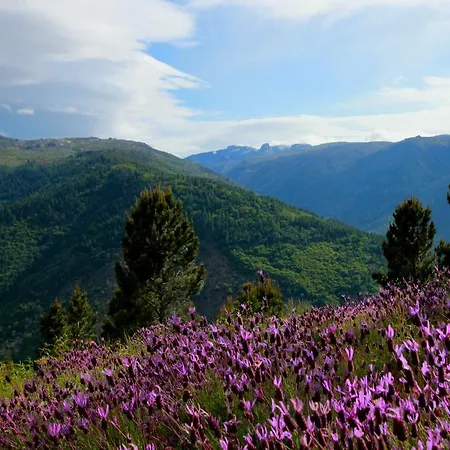 酒店 Vale Do Zezere