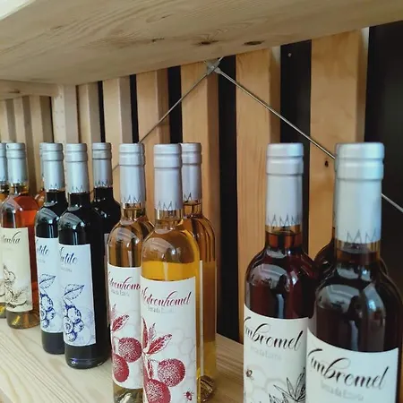 Vale Do Zezere 酒店 曼泰加什