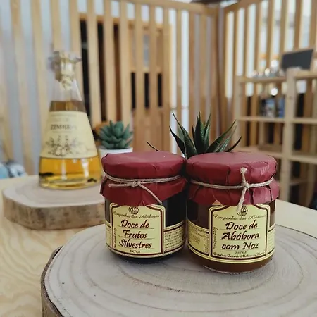 Vale Do Zezere 酒店 曼泰加什