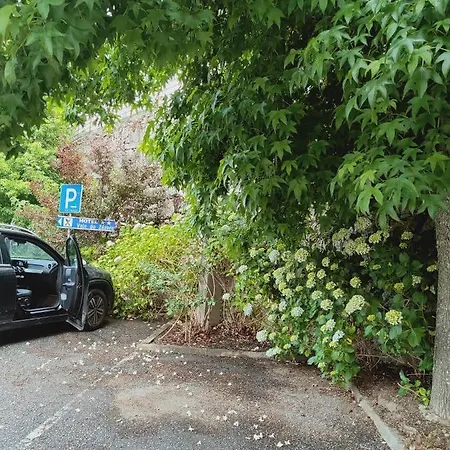 Vale Do Zezere 酒店 曼泰加什