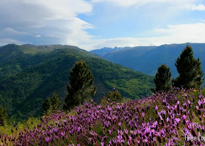 Hotel Vale Do Zezere