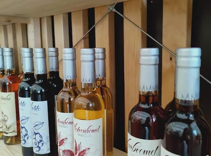 Vale Do Zezere Hotel Manteigas