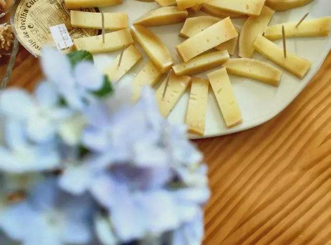 Hotel Vale Do Zezere